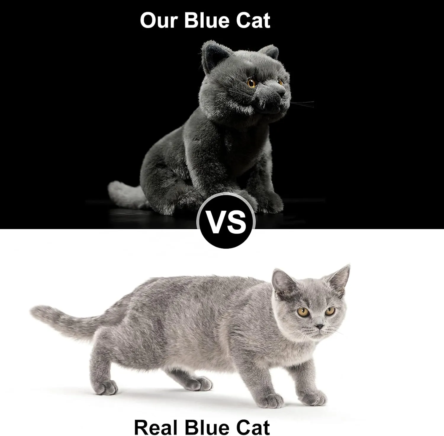 ZHONGXIN MADE British Short Cat Stuffed Animal - 11 inch Plush Toy Grey Cat, Soft Toy Cat for Kids (British Short Cat 1)