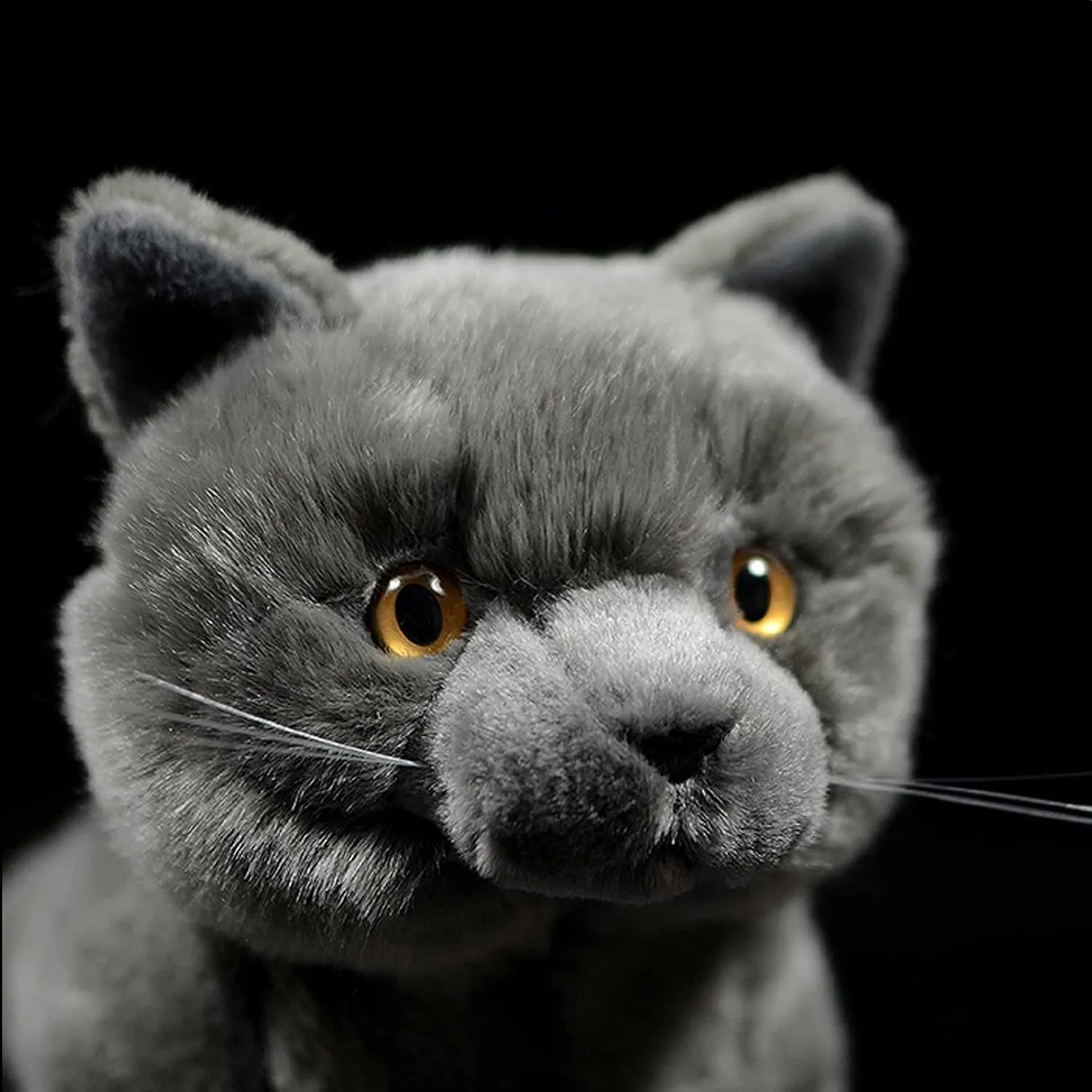 ZHONGXIN MADE British Short Cat Stuffed Animal - 11 inch Plush Toy Grey Cat, Soft Toy Cat for Kids (British Short Cat 1)