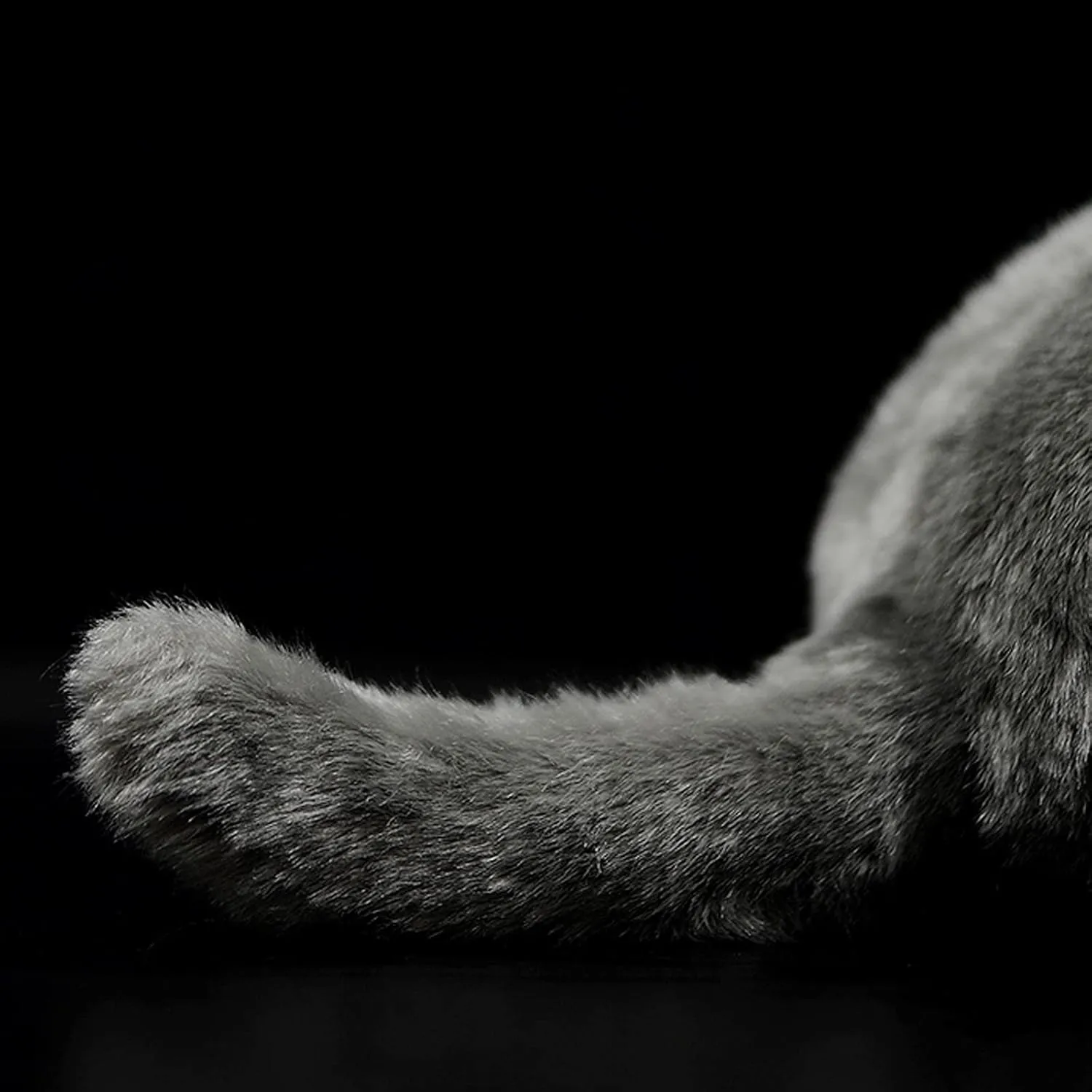 ZHONGXIN MADE British Short Cat Stuffed Animal - 11 inch Plush Toy Grey Cat, Soft Toy Cat for Kids (British Short Cat 1)